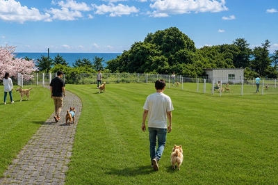 しおかぜドッグラン　※AI生成・加工イメージ