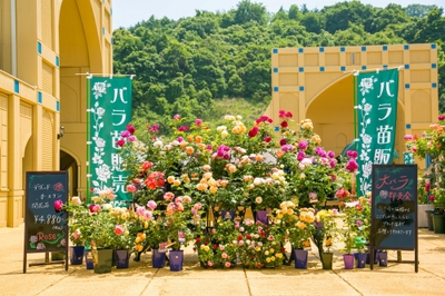 el8n5gLVy4Zri1SKUomv.jpg?w=940&h=940