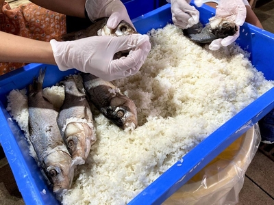 elAhJaXvoofpZ6bi0rek.jpg?w=940&h=940