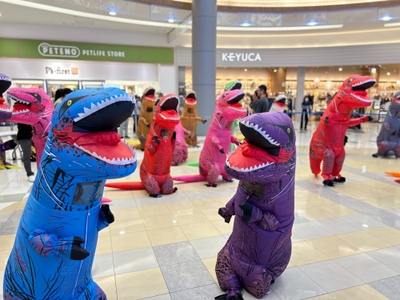 ※写真には別会場、他の講師のものが含まれていることがあります。