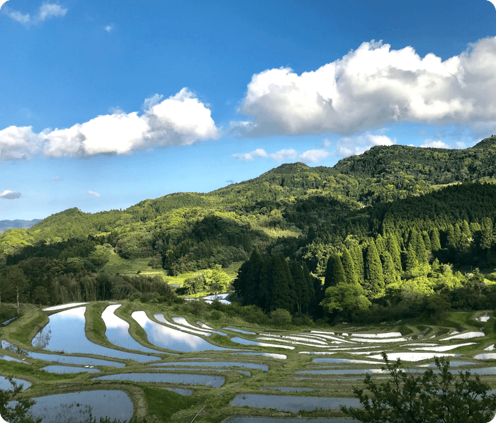 大山千枚田保存会