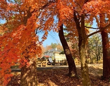 em9Y8BZLy5i5hUreVfOK.jpeg?w=940&h=940