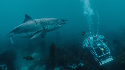 © 2023 Warner Bros. Discovery, Inc. or its subsidiaries and affiliates. All rights reserved.