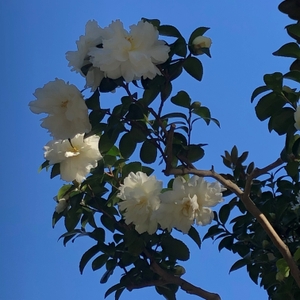 emwA1tftz5Ke6iEtJ8wB.jpg?w=940&h=940