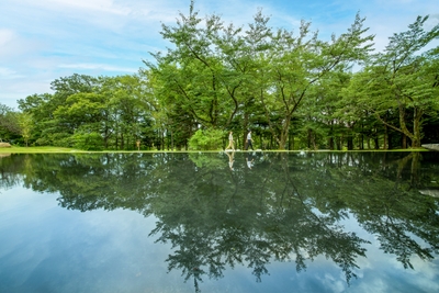 en1nIf3gD2MDRDLAgIKD.jpg?w=940&h=940