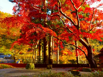 en2feHN3wogSumC9S1Hu.jpg?w=940&h=940