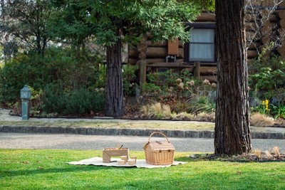 eopfzUD7C2MLeXCi3V6p.jpg?w=940&h=940