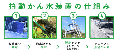 eoxWDuIy8FkzqwCAyXz7.png?w=940&h=940