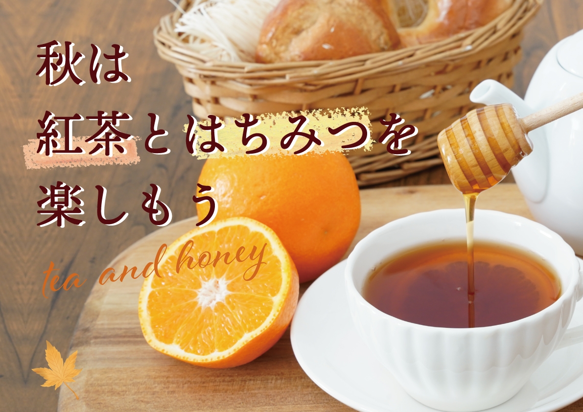 「紅茶の日」はハニーティーを楽しもう 選ぶのは紅茶の種類だけじゃない! 蜂蜜専門店が提案する紅茶に合う蜂蜜8選