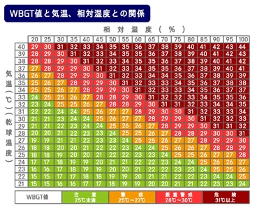 eqYaOBRgy2TTd6xLSb1U.jpg?w=940&h=940