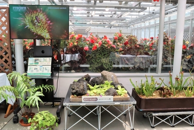 erz3LIKqa7FhUW832Tcp.jpg?w=940&h=940