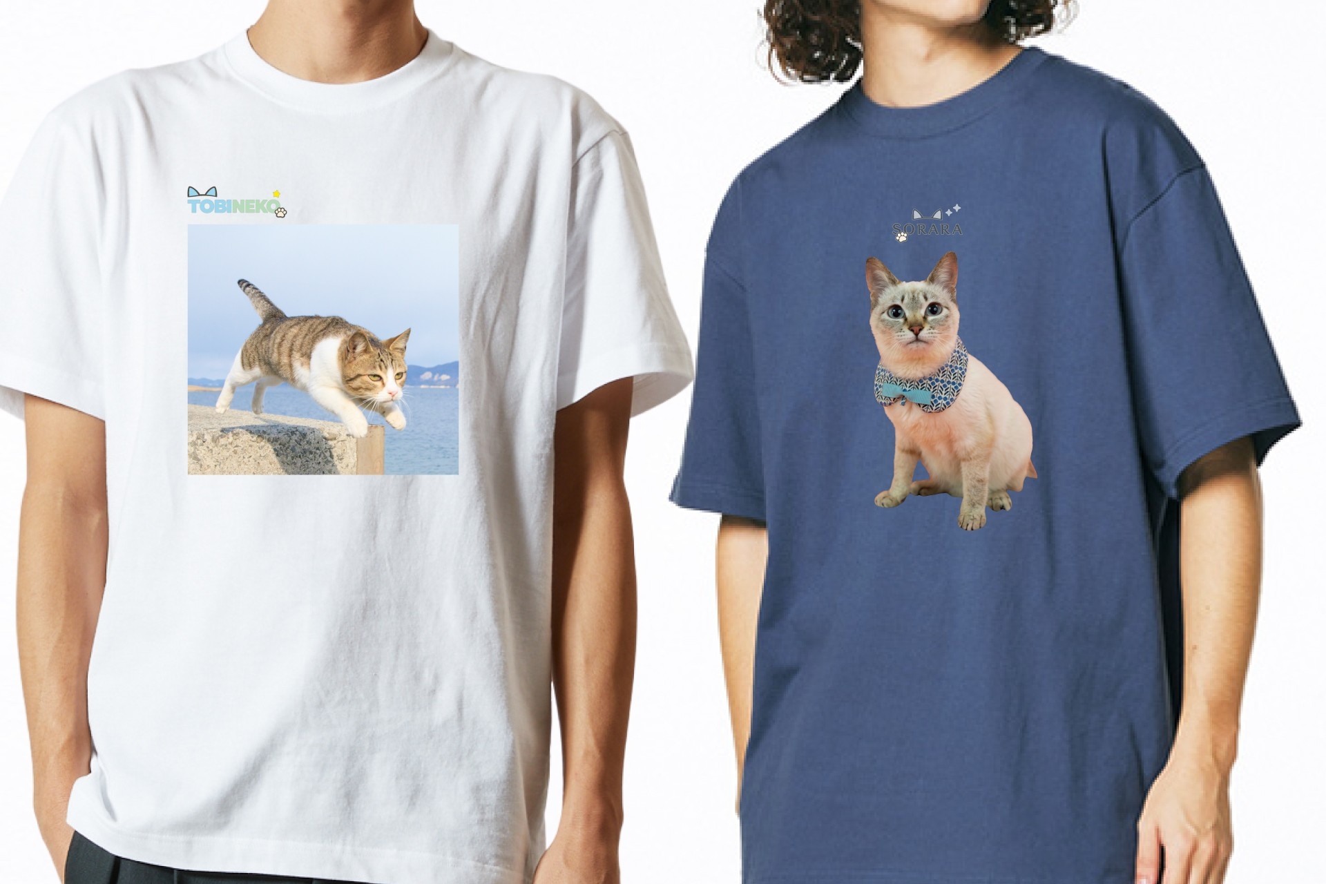 【2月22日 猫の日】著書累計10万部超「飛び猫」写真家・五十嵐健太とのコラボ猫Tシャツ発売