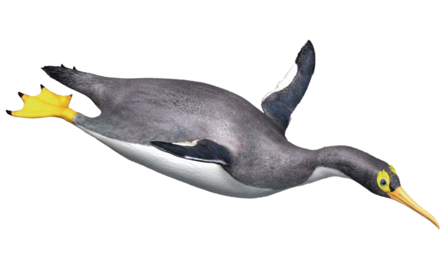 プロトプテルム類ホッカイドルニス(©新村龍也&足寄動物化石博物館)