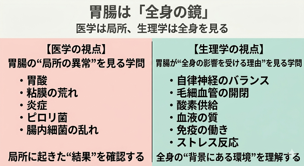 胃腸は「全身の鏡」── "生理学"で読み解けば、胃腸不調の本質が見える。第３回