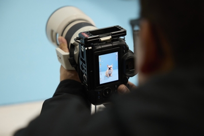 evMA7h69TCuZpBAgsTzb.jpg?w=940&h=940