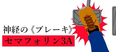 ewNRap9k98NJRxlUoBDU.jpg?w=940&h=940