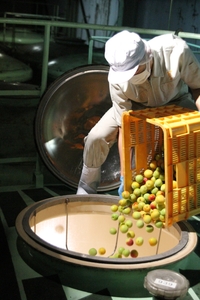 ewuHgWSKnLoJuUKDEXZ6.JPG?w=940&h=940