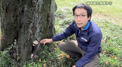 exA8q6mZUtjanTc844KI.jpg?w=940&h=940