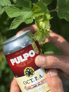  男木島産ホップを使用したクラフトビール『OCT.P.A.』(オクトパ)