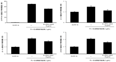 図２　ローズマリーエキスのディーゼル排気粒子抽出物による、薬物代謝酵素及び炎症関連遺伝子発現上昇抑制効果