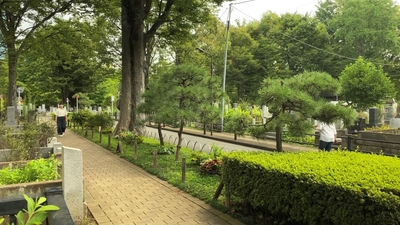 ez4cbIWsXrVekxeLu13c.jpg?w=940&h=940