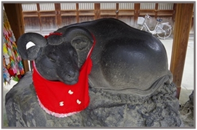 f26WUaKlxSTCZrABV2pU.jpg?w=940&h=940