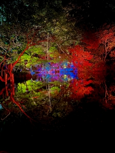 f2usPvqrdSdHRtAKBJCa.jpg?w=940&h=940