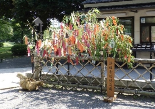 七夕飾り(昨年度の様子|浜離宮恩賜庭園)