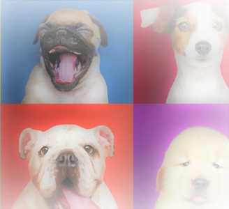 f44Ypdfu8haJLCKesTk4.jpeg?w=940&h=940