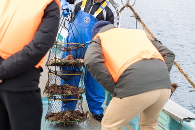 f4EuqBOEk9tVHYuaqO6n.jpg?w=940&h=940