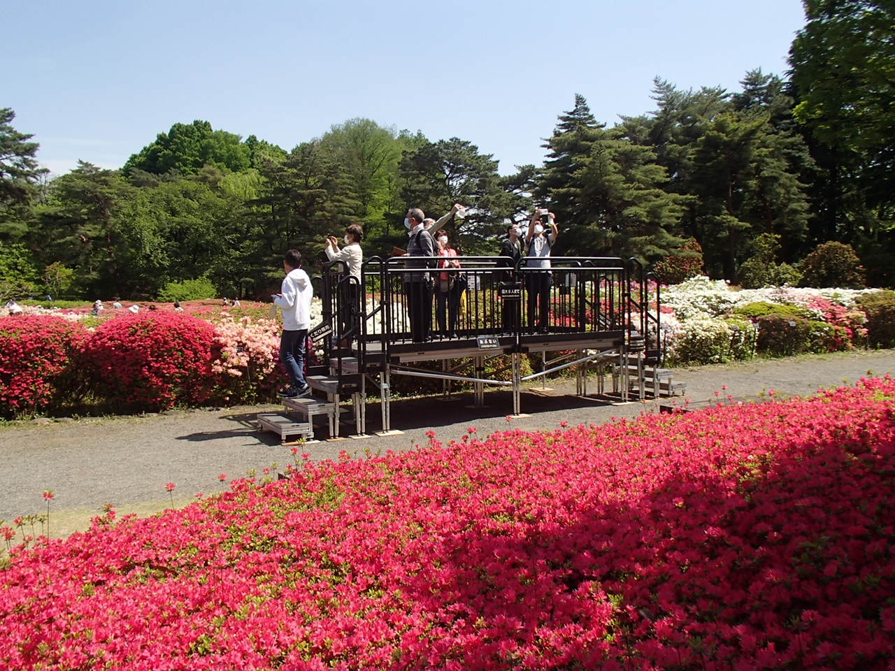つつじ園見晴らし台(過去の様子)