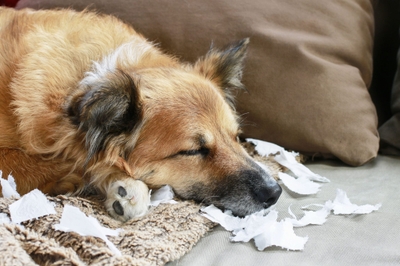 f5F8ljsnT9PfVgsQvOw6.jpeg?w=940&h=940