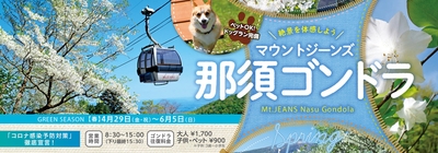 f5l04JYvb4PcjycoUuIj.jpg?w=940&h=940