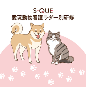 f5oLib0ArTgHgdTKCLLP.png?w=940&h=940