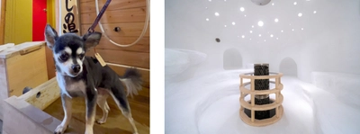 BIGLOBEが、温泉賢人が偏愛する温泉宿リスト 「ペットも喜ぶ温泉宿」「ここは桃源郷！温泉サウナ」を本日公開