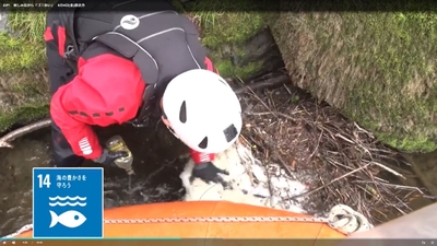 f6FUyZh8gNrUPDCZSFrh.jpg?w=940&h=940