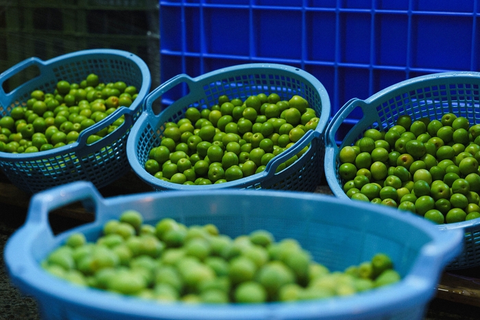 宮城県産梅「白加賀」を使用