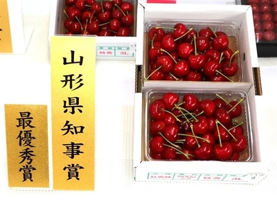 f6yP826nhpOsRi44TjDi.jpeg?w=940&h=940