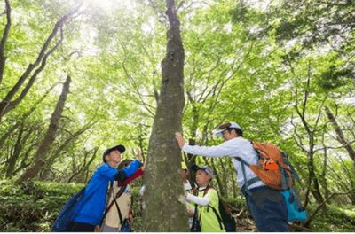 f7vAw42v1MU8zEigoaTy.png?w=940&h=940