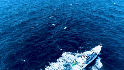 f7vykJTFZbwbr4AuQZ2n.jpg?w=940&h=940