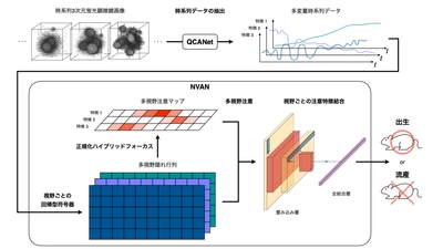 妊娠につながる良好なマウス受精卵を選ぶ革新的AI開発に成功　－不妊症の原因となる卵子の質の評価に応用可能－