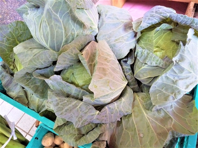 fAer79Hgq0fDUSSUXbKv.jpg?w=940&h=940