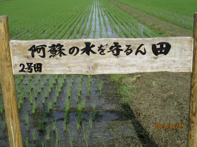 fCVksIROqcRzJHaKGhcq.jpg?w=940&h=940