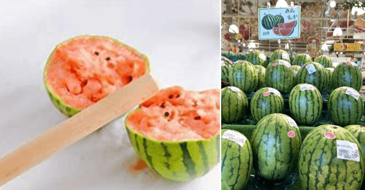 すいかイベント開催 ※画像はイメージです※