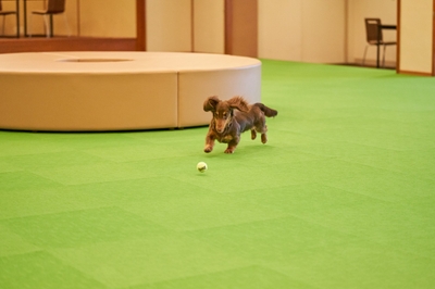 fE0Bl1dfQX5ebVdUOEIw.jpg?w=940&h=940