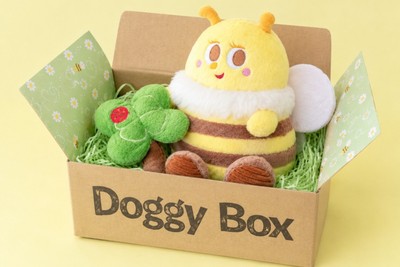 Doggy Boxおもちゃ　※イメージ