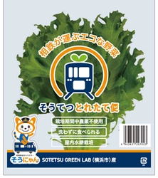 相鉄ブランド野菜 「そうてつとれたて便」の販売を開始【相鉄グループ】