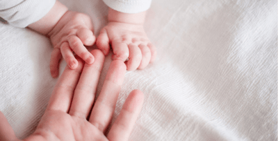 fF7BvOxMT5yC3Z9KVvjO.png?w=940&h=940