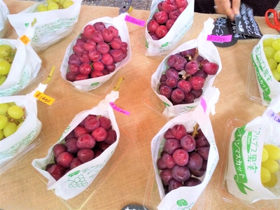 fGCbbpcWcBeNZScMXfgU.jpg?w=940&h=940