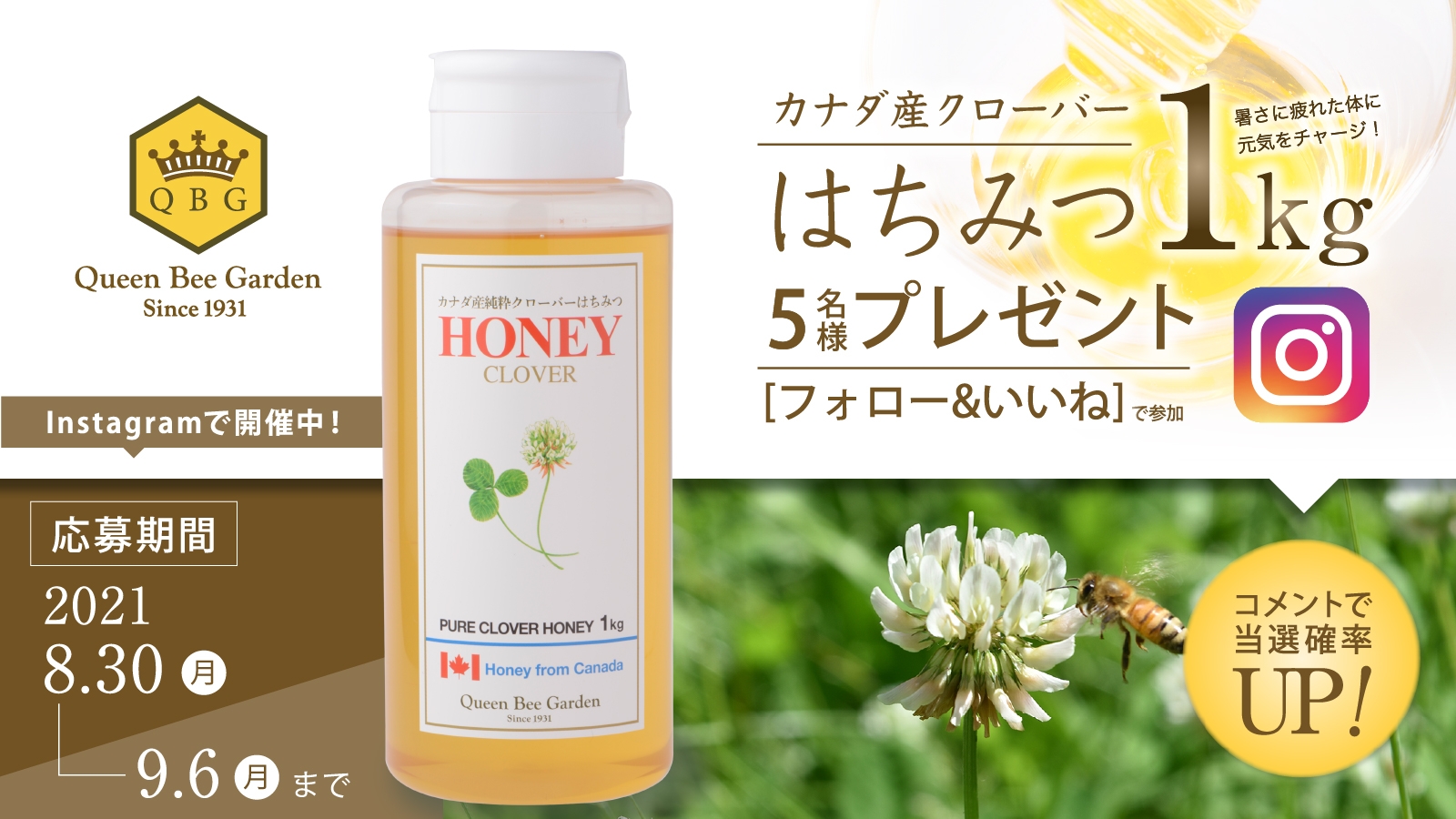 【本日最終日】夏の疲れがたまった体に元気をチャージ!「カナダ産クローバーはちみつ1kg」Instagramフォロー&いいねで5名様に当たるキャンペーン実施中!